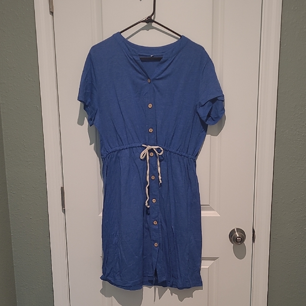 Blue Button-Down Dress